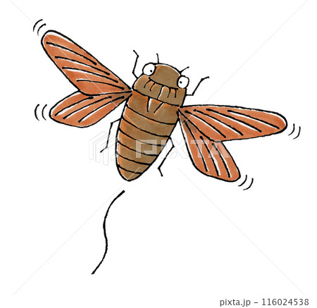 飛ぶアブラゼミ 116024538