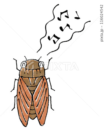 楽しそうに鳴くアブラゼミ 116024542