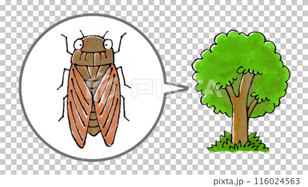 Abrazemi and trees 116024563