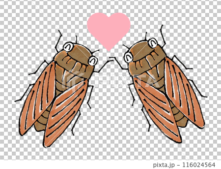 幾個阿布拉茲 116024564