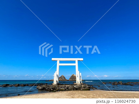 桜井二見ヶ浦の夫婦岩と白い鳥居 116024730