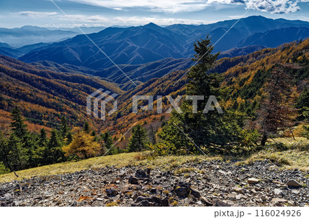 奥秩父縦走路・雁坂峠から見る紅葉の山肌と黒金山・国師ヶ岳 奥秩父縦走路・雁坂峠から見る紅葉の山肌と黒金山・国師ヶ岳 116024926