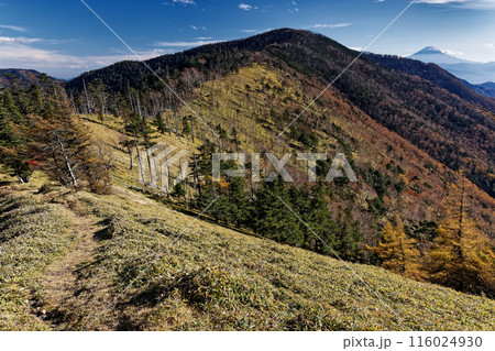 奥秩父縦走路・雁坂峠から見る秋の古礼山と富士山 116024930