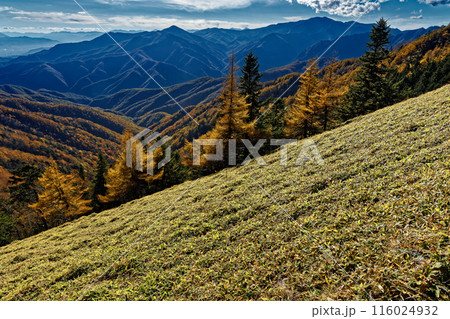 奥秩父縦走路・雁坂峠から見る黒金山・国師ヶ岳 奥秩父縦走路・雁坂峠から見る黒金山・国師ヶ岳 116024932