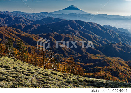 秋の奥秩父縦走路・古礼山から見る富士山 秋の奥秩父縦走路・古礼山から見る富士山 116024941