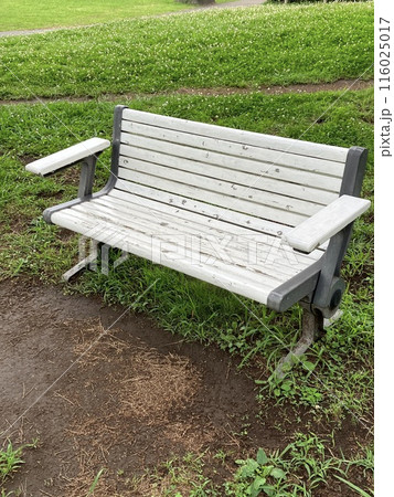 ベンチ 116025017