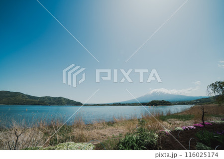 河口湖から見る美しい富士山 116025174