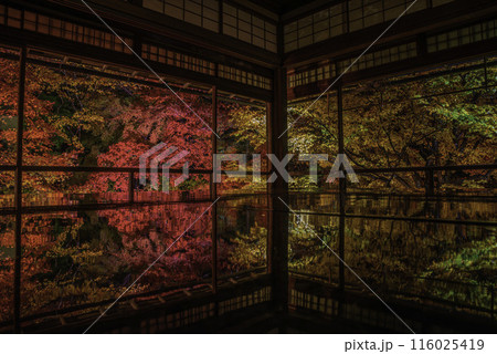 瑠璃光院の秋(11月) 116025419