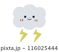 雷と雲のアイコンイラスト 116025444