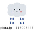 雨と雲のアイコンイラスト 116025445