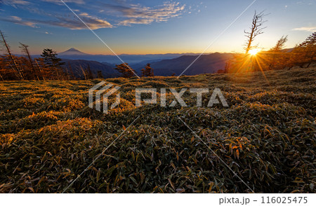 奥秩父・古礼山から見る日没と富士山 116025475