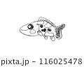 魚は優しい顔をして楽しそうに泳いでいる。子どもの描いた絵はそのまま子供の気持ちが表れている 116025478