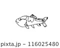 子どもの描いた魚の絵はそのまま子供の気持ちが表れている。優しそうで楽しそうで、海の世界も楽しいんだろ 116025480