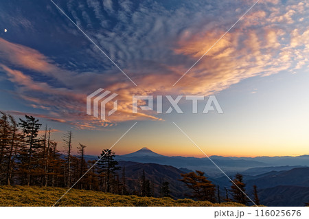 奥秩父・古礼山から夕暮れの富士山と夕焼け雲 116025676