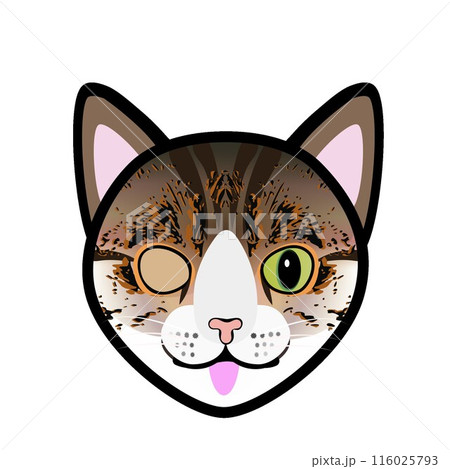 キジトラ猫の顔のイラスト 116025793
