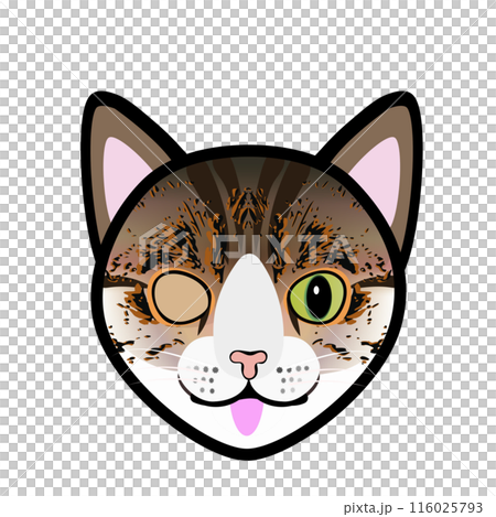 キジトラ猫の顔のイラスト 116025793