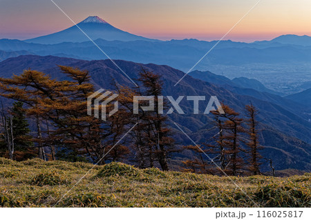 奥秩父・古礼山から見る夕照の富士山 116025817