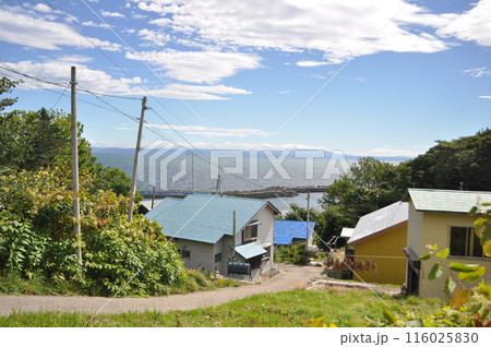 焼尻島, 北海道, 2016年夏 116025830
