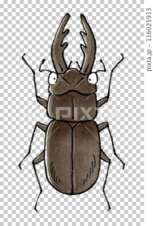 鍬蟲(雄性) 鍬蟲(雄性) 116025913