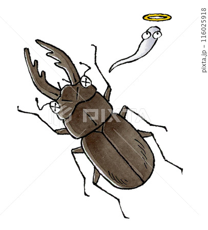 死んだクワガタムシ(オス) 116025918