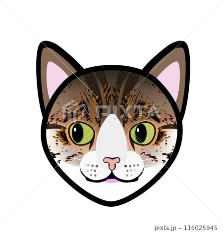 キジトラ猫の顔のイラスト キジトラ猫の顔のイラスト 116025945