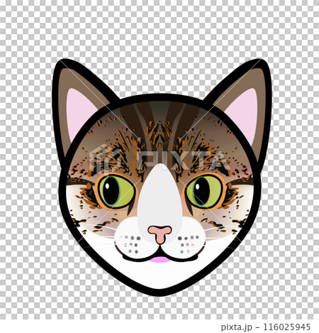 キジトラ猫の顔のイラスト キジトラ猫の顔のイラスト 116025945
