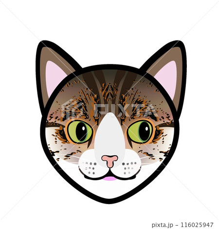 キジトラ猫の顔のイラスト キジトラ猫の顔のイラスト 116025947