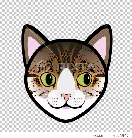 キジトラ猫の顔のイラスト キジトラ猫の顔のイラスト 116025947