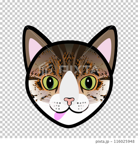 キジトラ猫の顔のイラスト 116025948