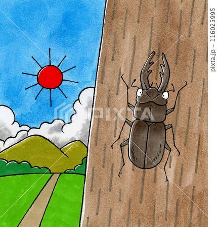 木に止まるクワガタムシの風景 116025995