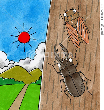 木に止まるクワガタムシとセミの風景 116025997