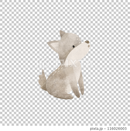 Cartoon animal for kids design . Hand drawn illustration of grey cute wolf on isolated background. Minimalist scandinavian style. Wild forest animals. 116026003