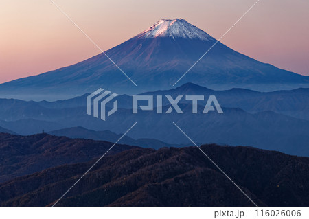 奥秩父・古礼山から見る朝焼けの富士山 116026006