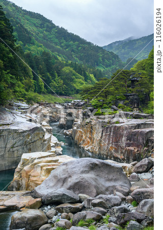 初夏の寝覚の床【木曽郡上松町】 初夏の寝覚の床【木曽郡上松町】 116026194