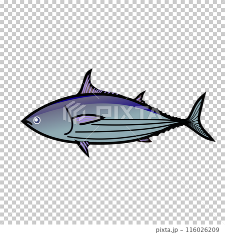 鰹のイラストのイラスト素材 [116026209] - PIXTA