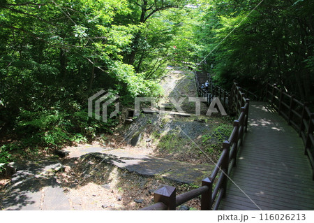 祭畤大橋　震災遺構 116026213