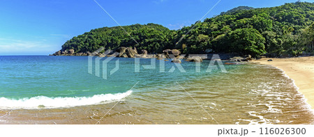 The sea and forest of Indaiauba beach The sea and forest of Indaiauba beach 116026300