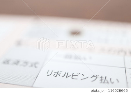 リボ払いに関する書類 リボ払いに関する書類 116026666