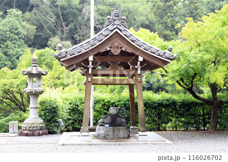 紫陽花の金剛寺 手水舎 （兵庫県 三木市） 116026702