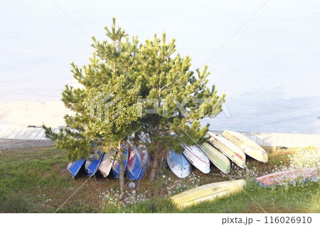 木の下に並べられた木陰のボート 116026910