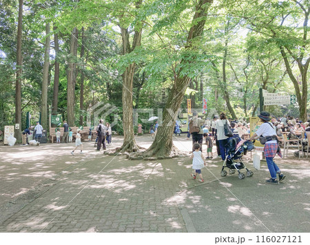 五月の井の頭自然文化園 116027121