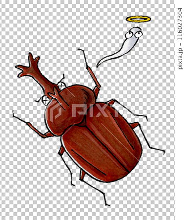 Dead beetle (male) Dead beetle (male) 116027304