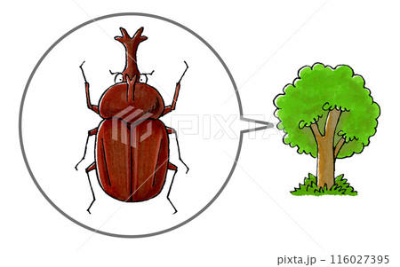 カブトムシと樹木 116027395