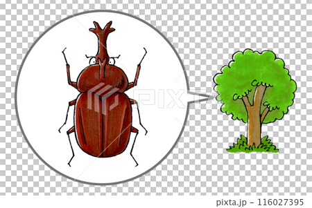 カブトムシと樹木 116027395