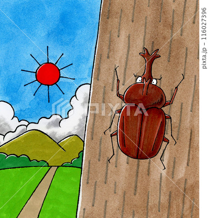 木に止まるカブトムシの風景 116027396