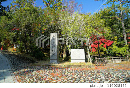 紅葉がきれいな上野公園・上野城 紅葉がきれいな上野公園・上野城 116028153