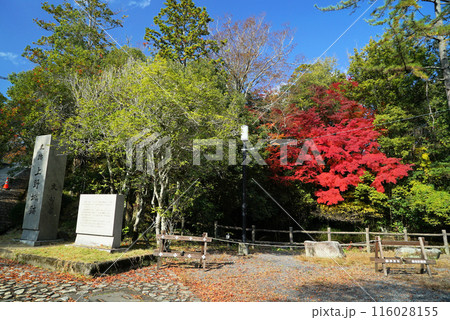 紅葉がきれいな上野公園・上野城 紅葉がきれいな上野公園・上野城 116028155