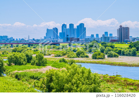日本の東京都市景観 6月…二子玉川駅近くの多摩川や武蔵小杉駅前のタワマン群（奥）＝8日 116028420
