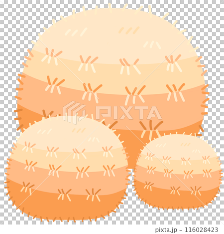 brown grass brown grass 116028423