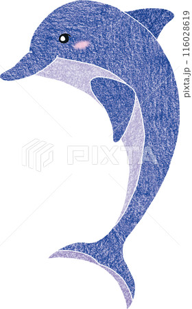 かわいいイルカの手描き風イラスト 116028619